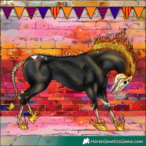 Horse Color:Black Tobiano 