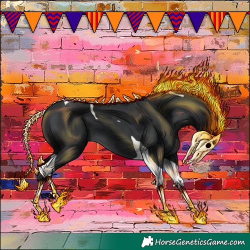 Horse Color:Black Tobiano 