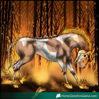 Horse Color:Gold Champagne Tobiano