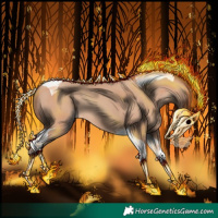 Horse Color:Amber Champagne Tobiano 