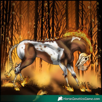 Horse Color:Bay Tobiano 