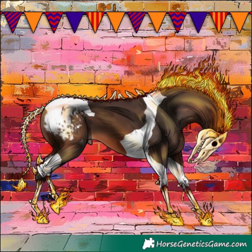 Horse Color:Brown Tobiano Appaloosa 