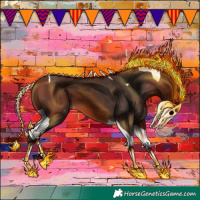 Horse Color:Bay Tobiano Appaloosa 