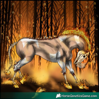 Horse Color:Amber Champagne Tobiano
