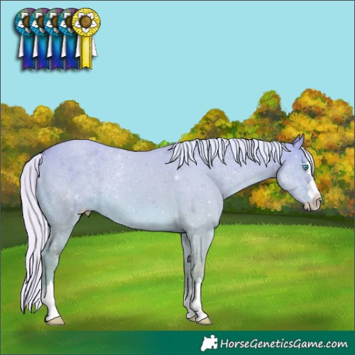 Horse Color:Silver Perlino Dun 