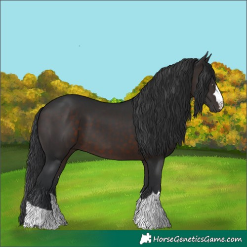 Horse Color:Brown 