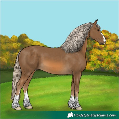 Horse Color:Chocolate Palomino