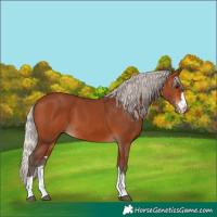 Horse Color:Silver Bay 
