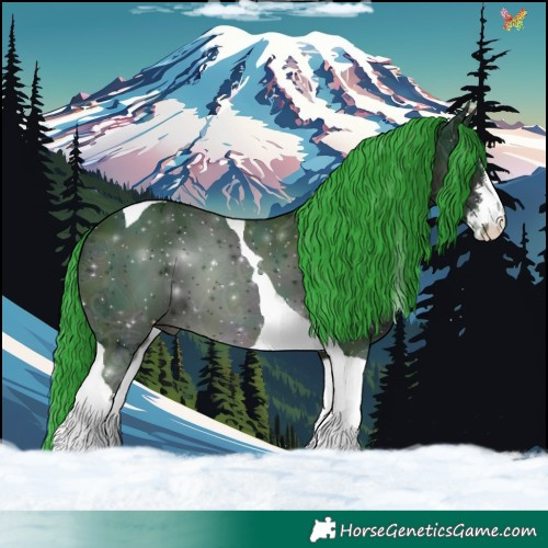 Horse Color:Watercolor White Spotted Midnight Brown Ice Tobiano 