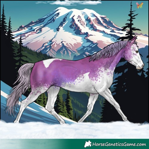 Horse Color:Watercolor White Spotted Chestnut Tobiano