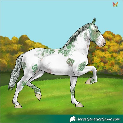 Horse Color:Watercolor White Spotted Silver Brown 