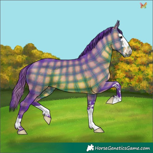Horse Color:Watercolor Plaid  Brown 