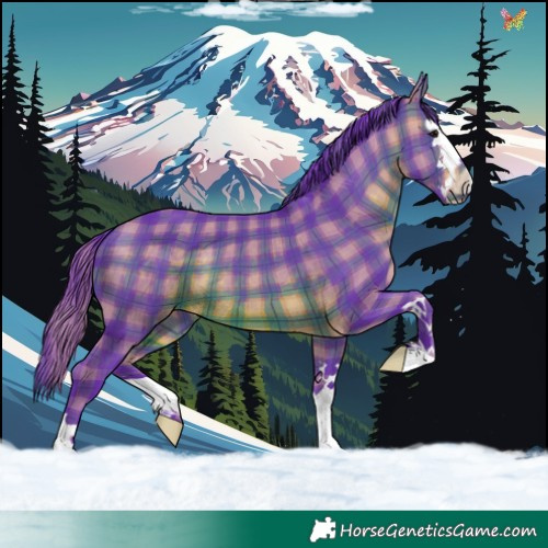 Horse Color:Watercolor Plaid  Brown 