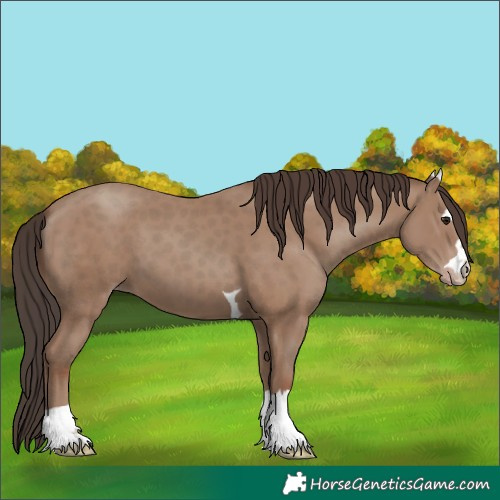 Horse Color:Classic Champagne