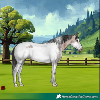 Horse Color:Brown Sabino Tobiano Frame 