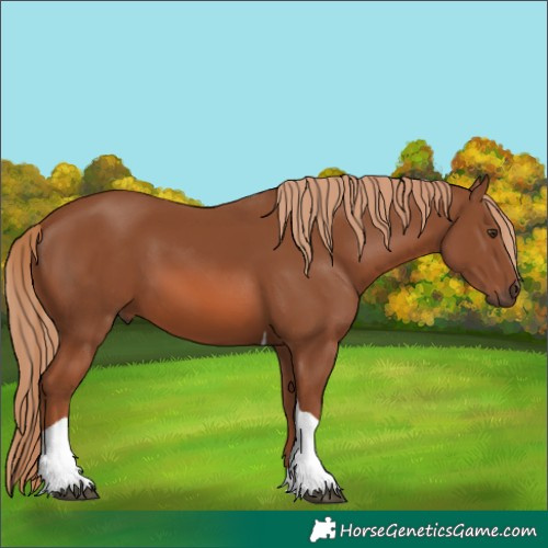 Horse Color:Chestnut Tobiano Rabicano 