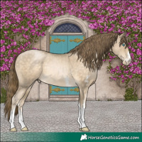 Horse Color:Buckskin Pearl Sabino Rabicano