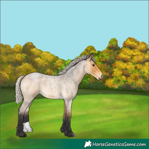 Horse Color:Silver Buckskin Roan 