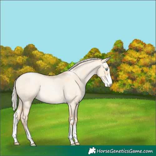 Horse Color:Silver Buckskin Roan Pearl Dun Sabino Rabicano 