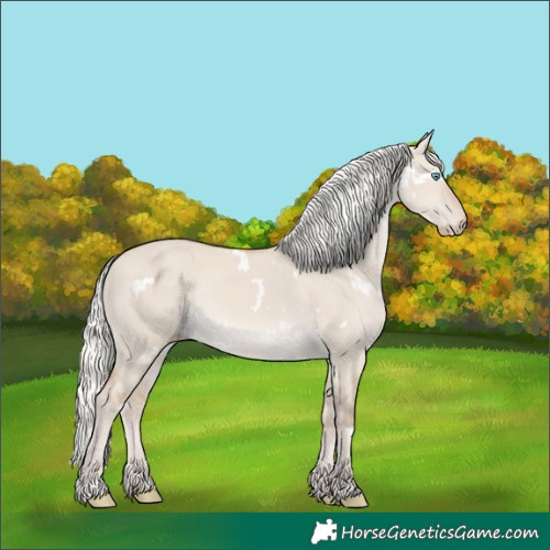 Horse Color:White Spotted Silver Smoky Creme Dun Rabicano 