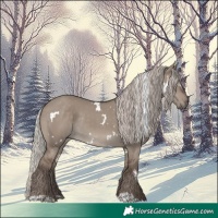 Horse Color:White Spotted Silver Grullo Rabicano