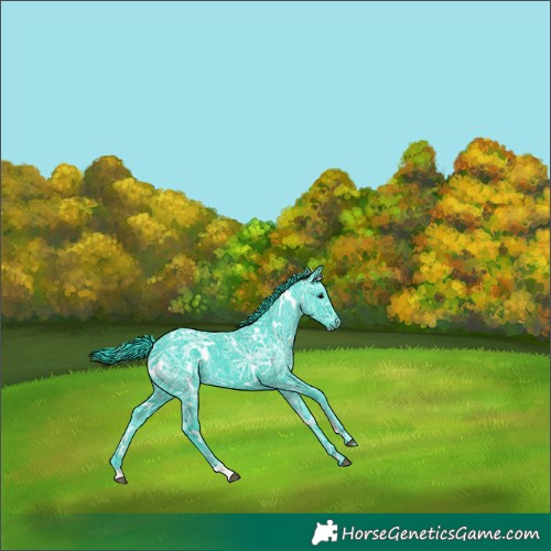 Horse Color:Watercolor White Spotted Black Ice