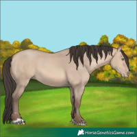 Horse Color:Sable Champagne Dun 