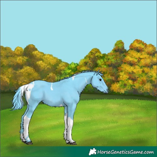 Horse Color:Watercolor Black Tobiano 