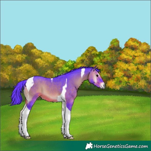Horse Color:Watercolor Brown Onyx Tobiano 
