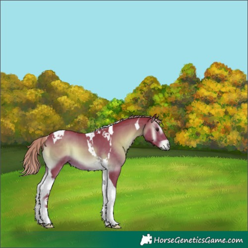 Horse Color:Watercolor Liver Red Onyx Tobiano 
