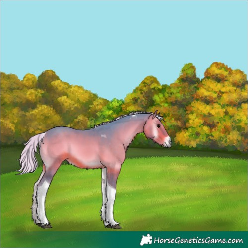 Horse Color:Watercolor Silver Brown Onyx Tobiano 