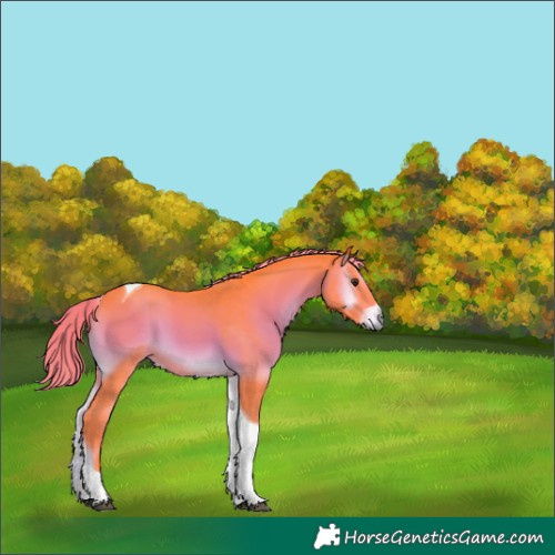 Horse Color:Watercolor Liver Red Onyx Tobiano 