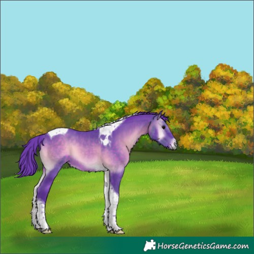 Horse Color:Watercolor Brown Onyx Tobiano 