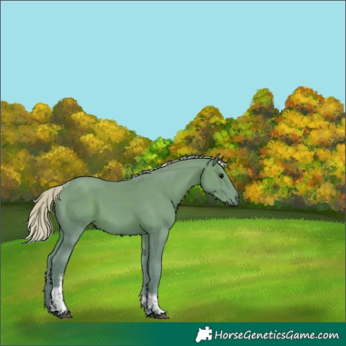 Horse Color:Watercolor Silver Black Tobiano 