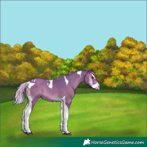 Horse Color:Watercolor Silver Blue Onyx Splash Tobiano 
