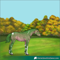 Horse Color:Watercolor Brown Tobiano 