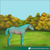 Horse Color:Watercolor Bay Tobiano 