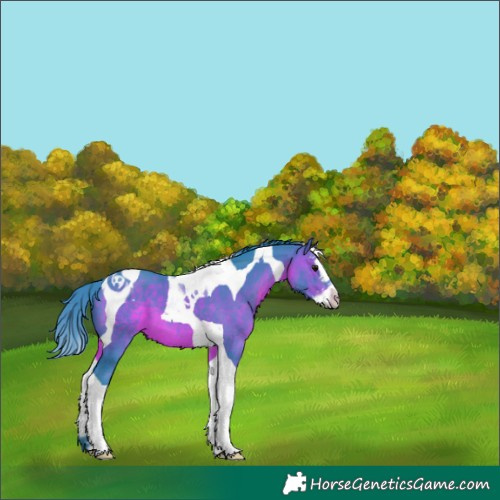 Horse Color:Watercolor Brown Splash Tobiano