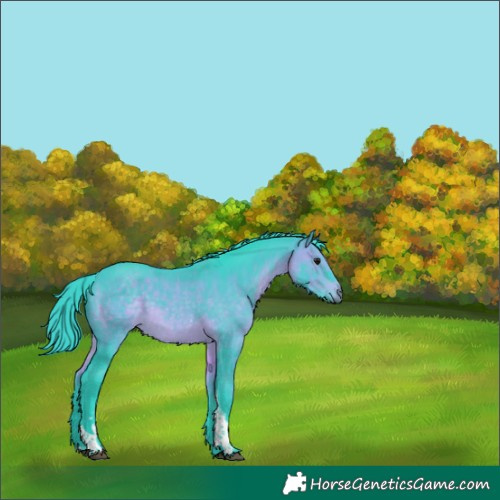 Horse Color:Watercolor Brown Tobiano 