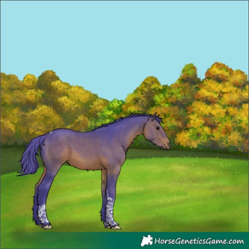 Horse Color:Watercolor Brown Tobiano 