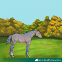 Horse Color:Watercolor Brown Tobiano 