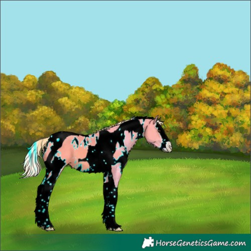 Horse Color:Watercolor White Spotted Chestnut Splash Tobiano 