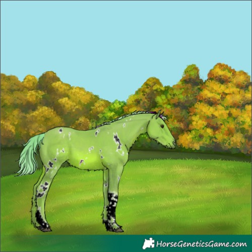 Horse Color:Watercolor White Spotted Chestnut Tobiano 