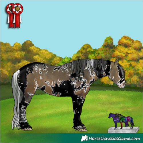 Horse Color:White Spotted Bay Splash Tobiano 