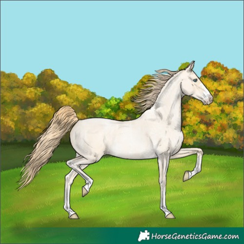 Horse Color:Buckskin Roan Pearl and Buckskin Roan Pearl