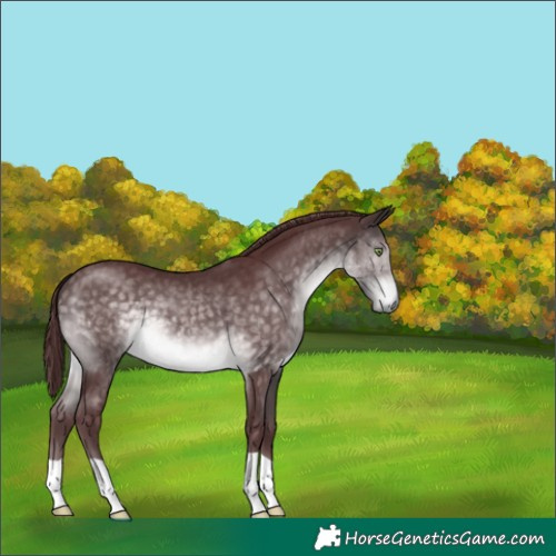 Horse Color:Platinum Chocolate Buckskin 