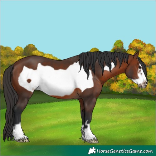 Horse Color:Brown Frame 