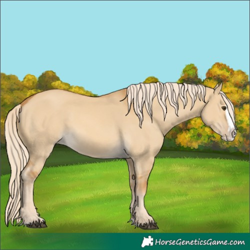 Horse Color:Palomino Dun Splash
