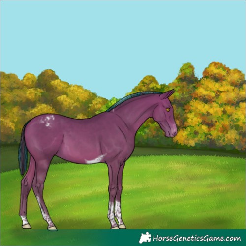 Horse Color:Painted Amber Champagne Tobiano Varnish 