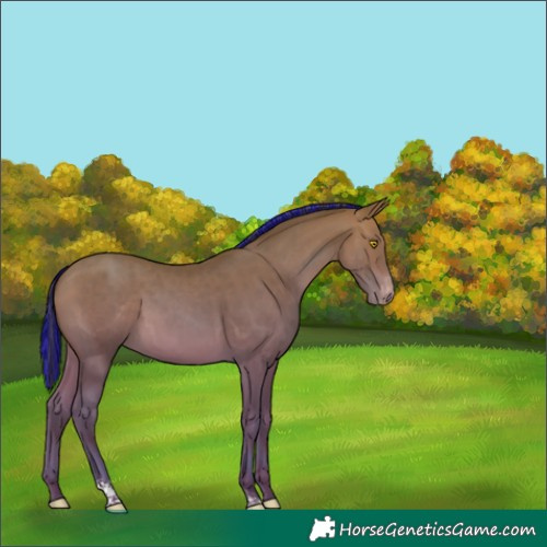 Horse Color:Painted Sable Champagne Tobiano Varnish 